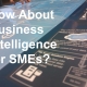 How About Business Intelligence for SMEs?